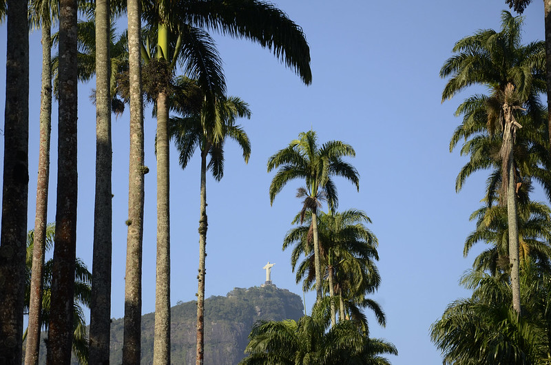 Jardim Botânico