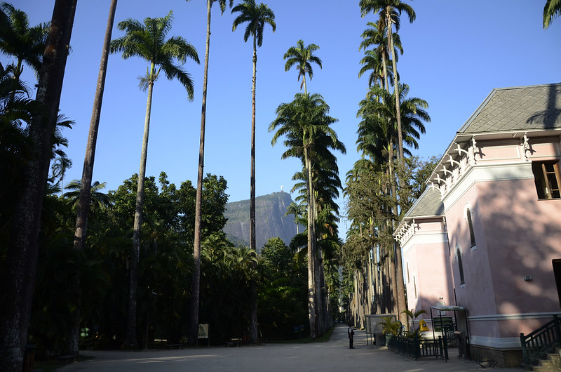 Jardim Botânico