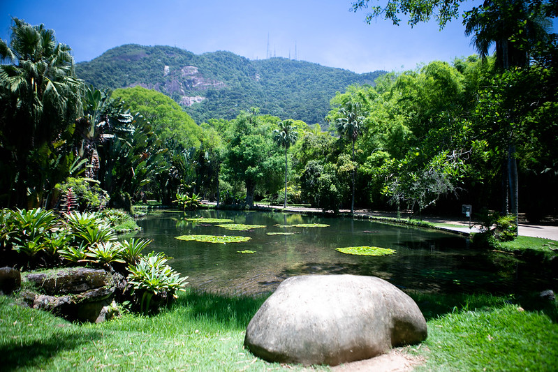 Jardim Botânico