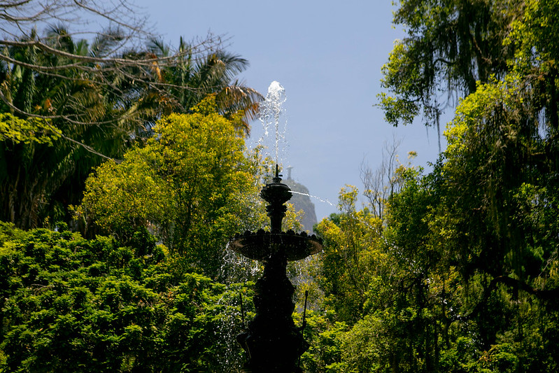 Jardim Botânico